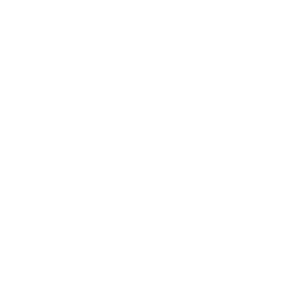 LOGO PIX BRANCA